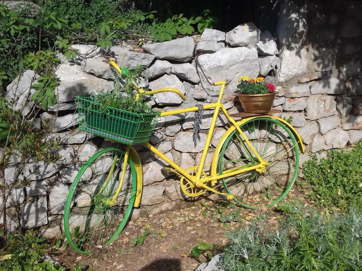 Apartment Rojal Mali Lošinj Zewnętrze zdjęcie