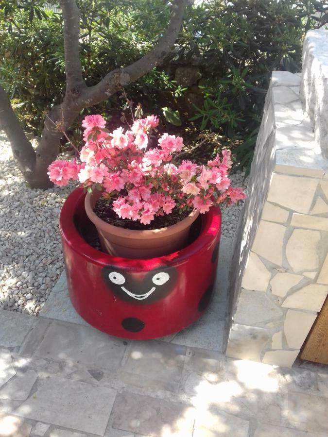 Apartment Rojal Mali Lošinj Zewnętrze zdjęcie